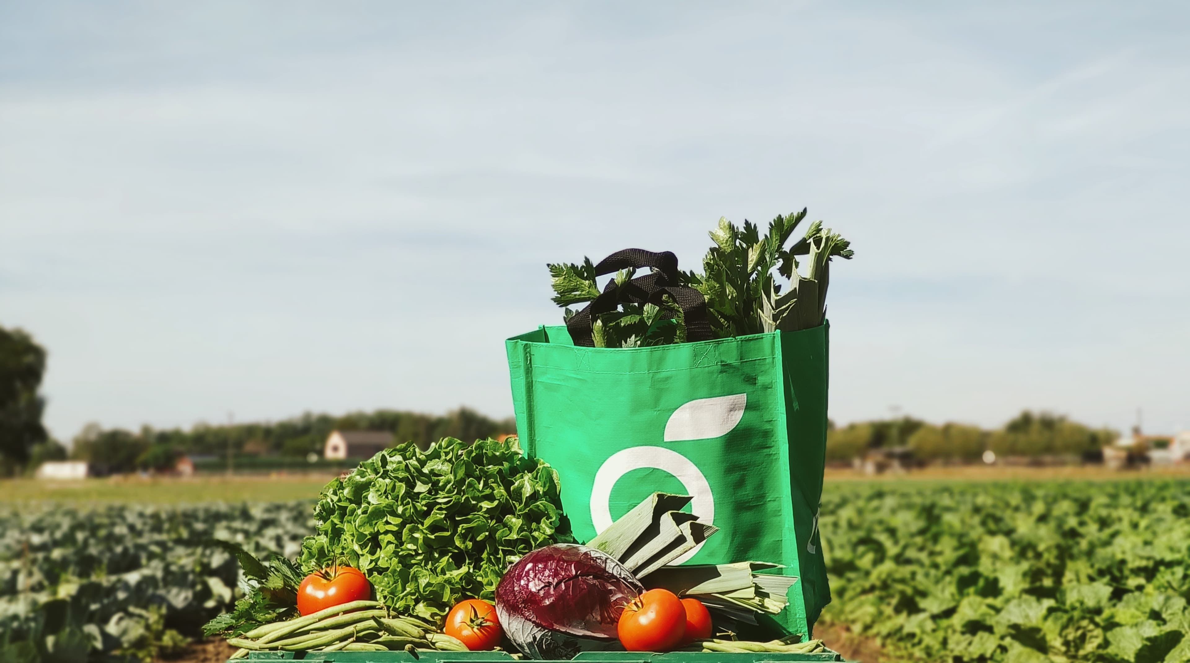 Biohoeve groentepakket op het veld